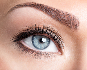 Long Lastning Brows